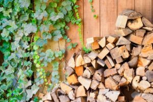 薪ストーブのはなし②薪ストーブの燃料、薪について